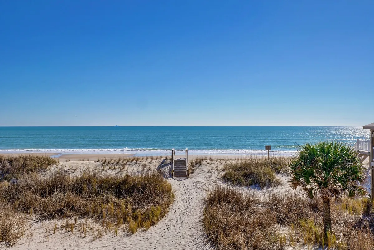 A sandy pathway bordered by dune grasses and a palm tree leads directly to the open beach and ocean beyond. The scene feels secluded, inviting, and perfect for long walks or a game of fetch.